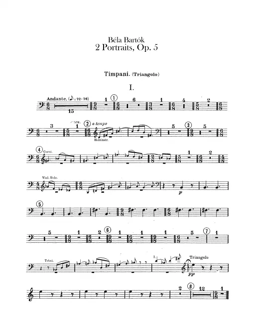 Timpani, Bass Drum/Cymbals/Tam-Tam, Triangle/Small Drum