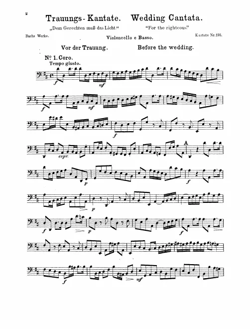 Cellos/Basses