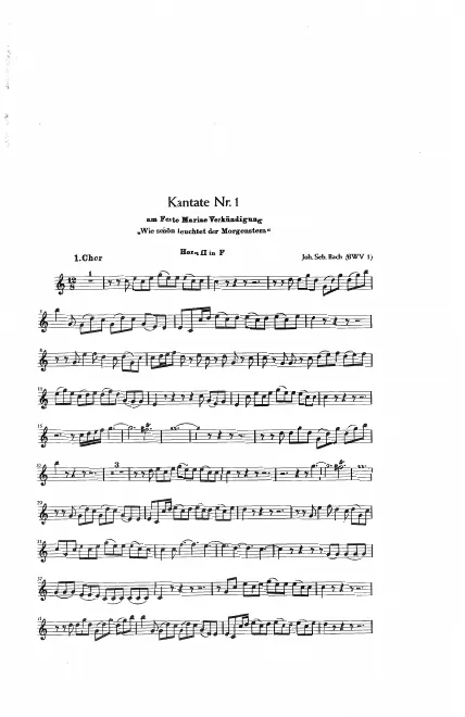 Horn 2