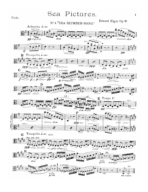 Violas