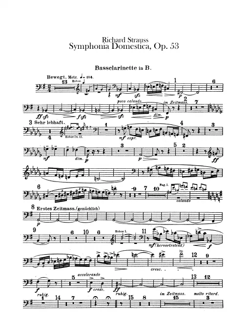 Bass Clarinet (B)