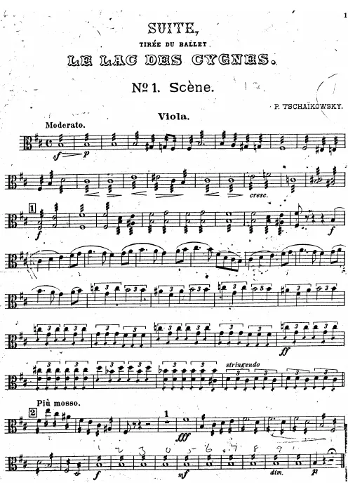 Violas