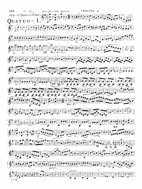 Violin 2