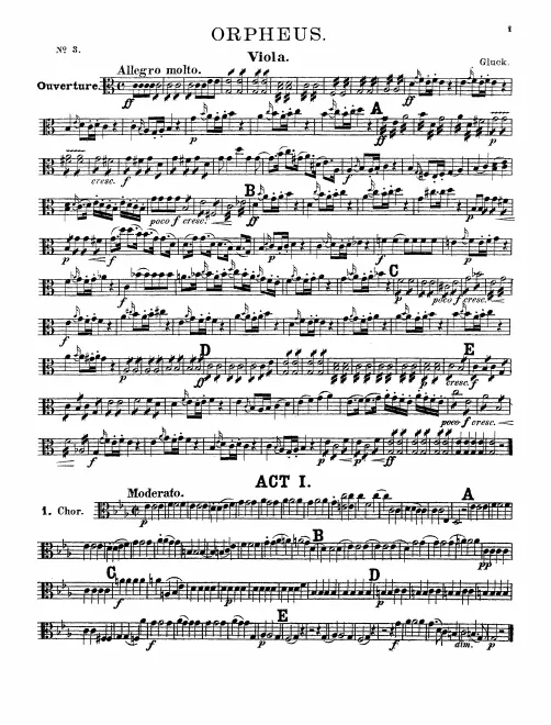 Violas