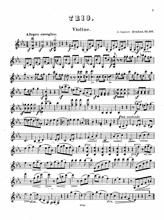 Violin