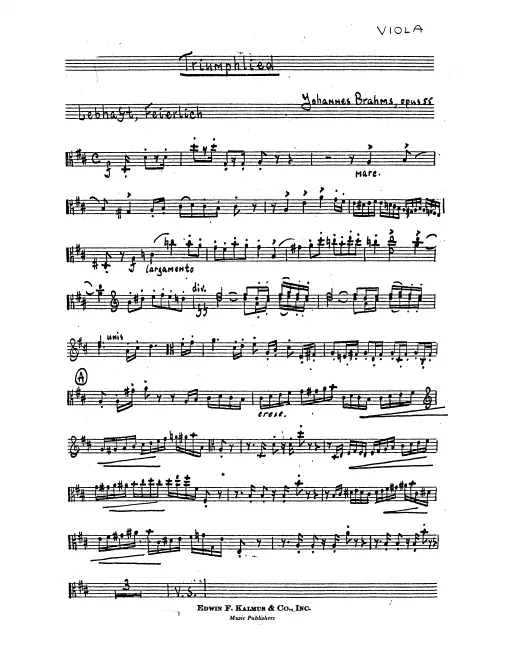 Violas