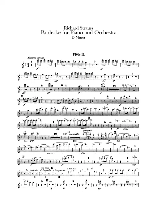 Flute 2
