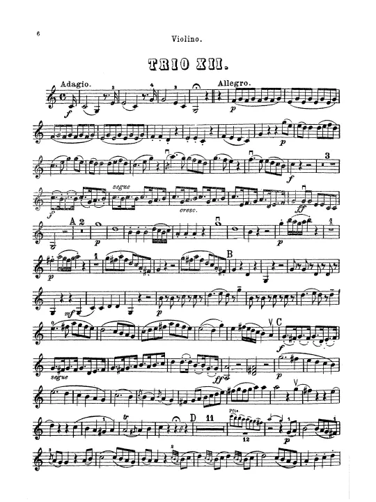 Violin