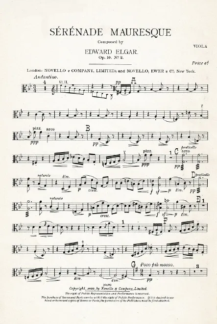 Violas