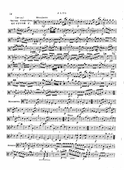 Viola