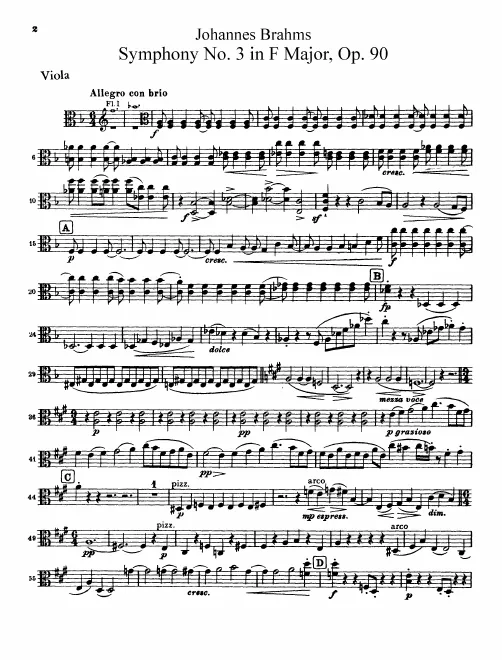 Violas