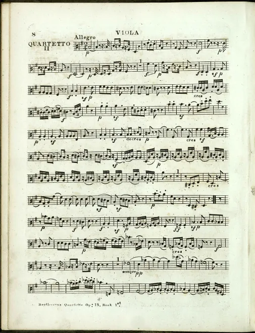 Viola