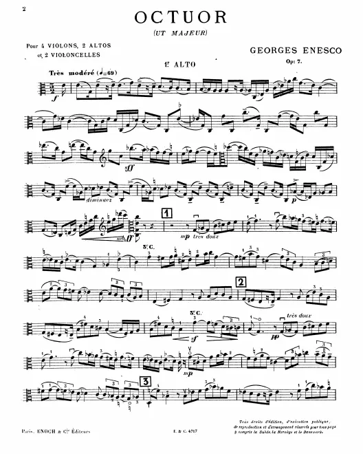 Viola 1