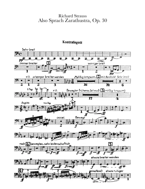 Contrabassoon