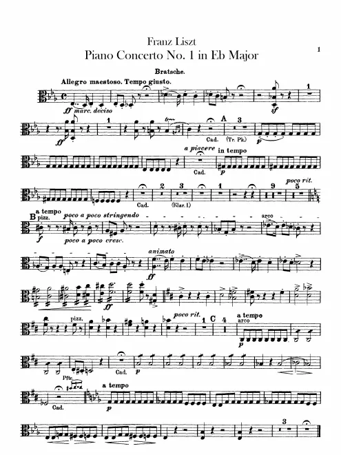 Violas