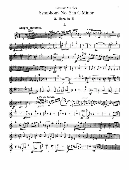 Horn 3 (F)
