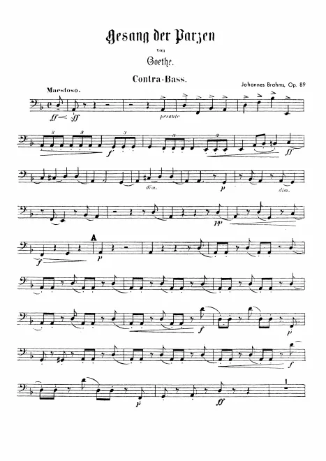 Basses