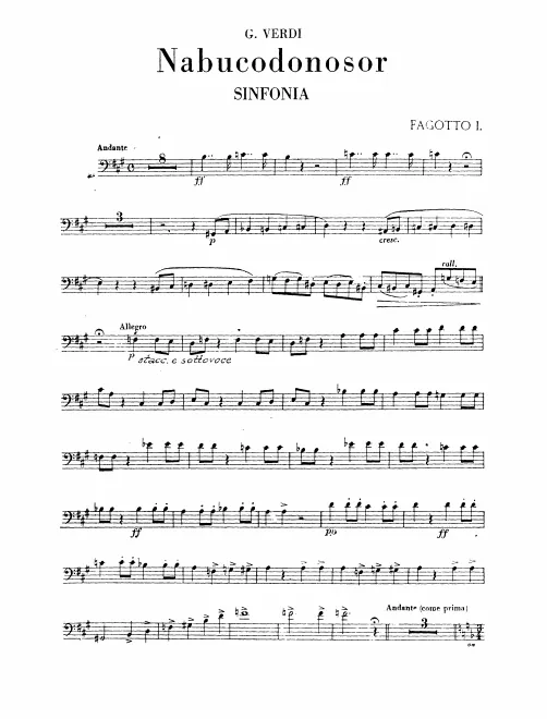 Bassoon 1