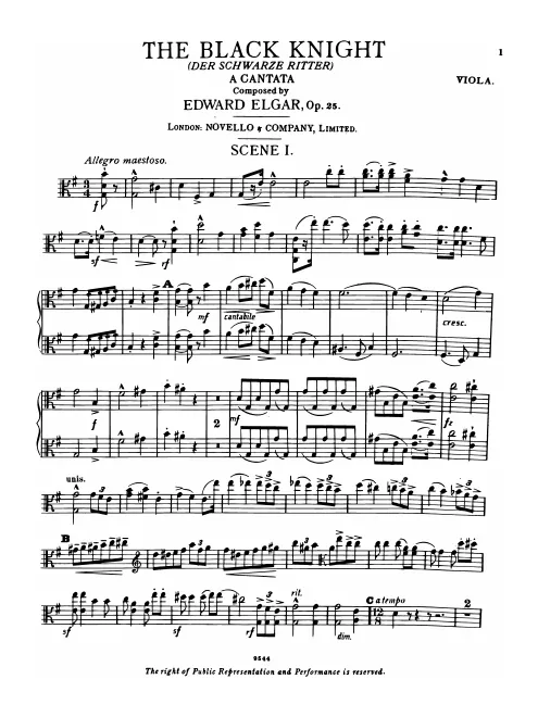 Violas