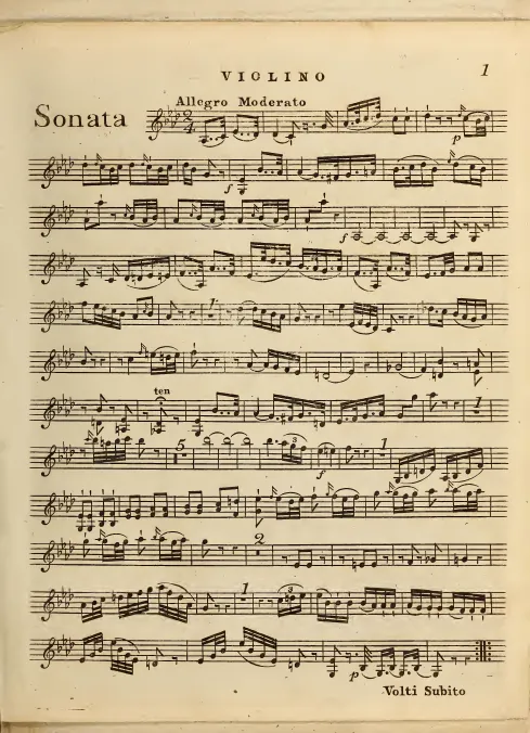 Violin