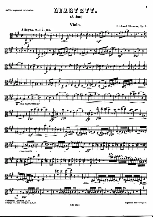 Viola