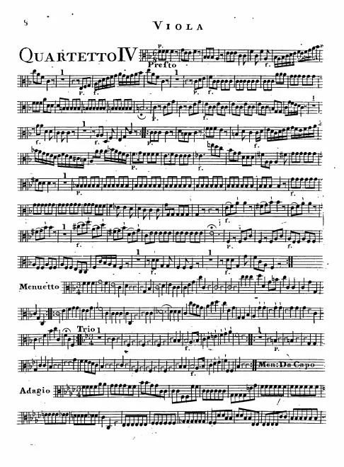 Viola