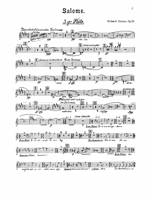Flute 3
