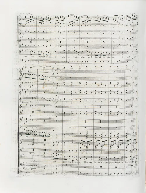 Segment 8