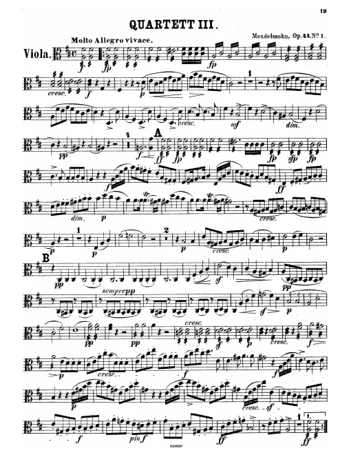 Viola