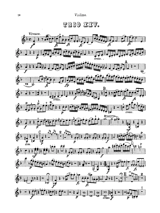 Violin