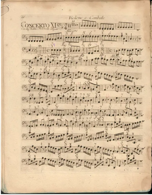 Basses/Continuo