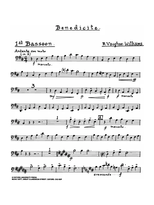 Bassoon 1
