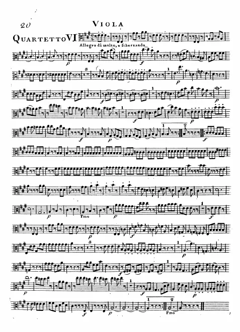 Viola