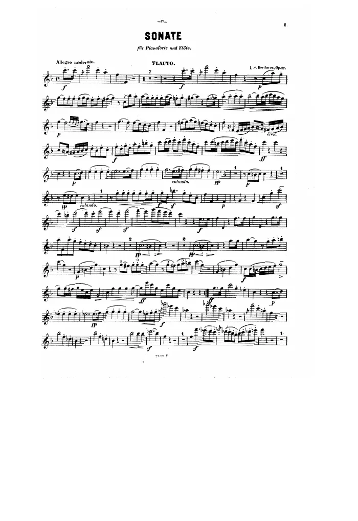 Flute