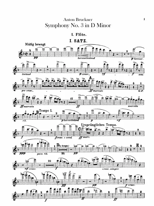 Flute 1