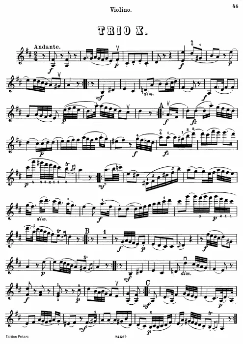 Violin