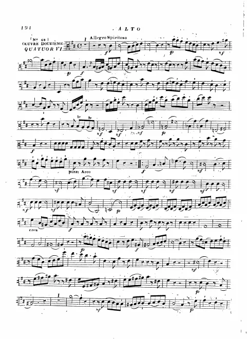 Viola