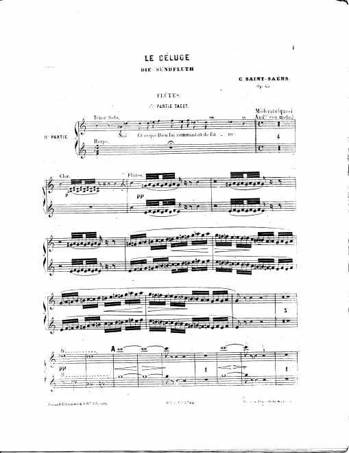 Flute 1/2, Piccolo