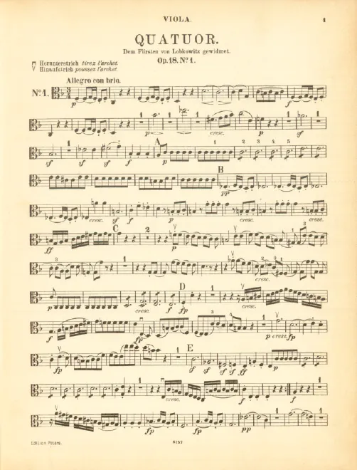 Viola