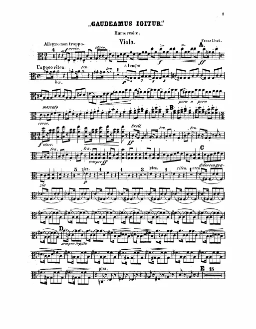 Violas