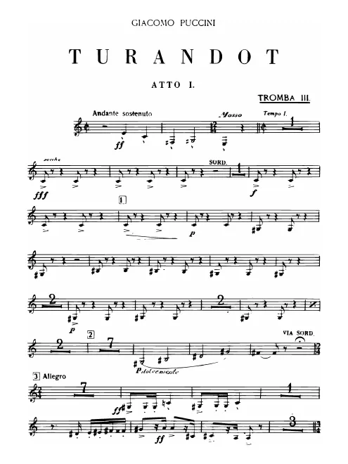 Trumpet 3