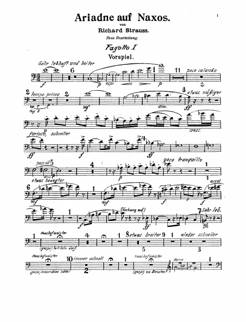 Bassoon 1