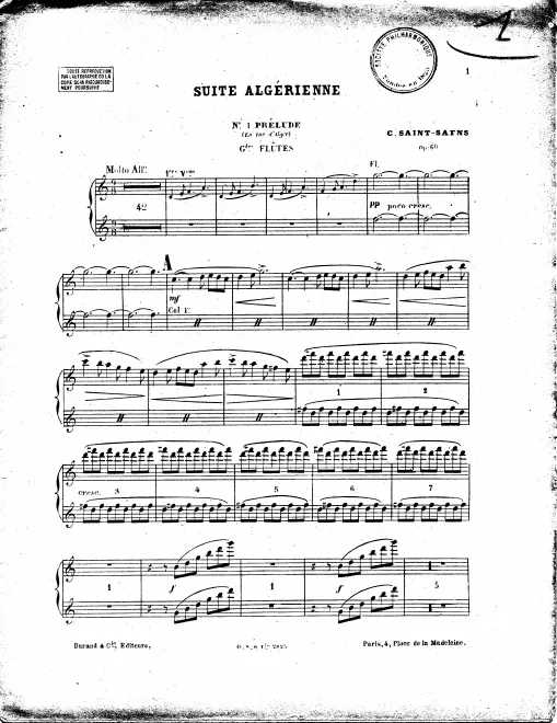 Flute 1/2, Piccolo