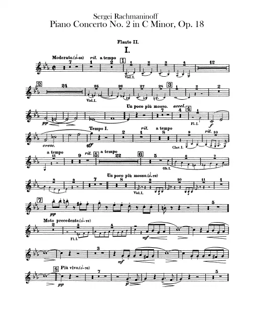 Flute 2
