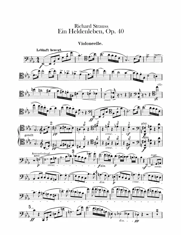 Cellos