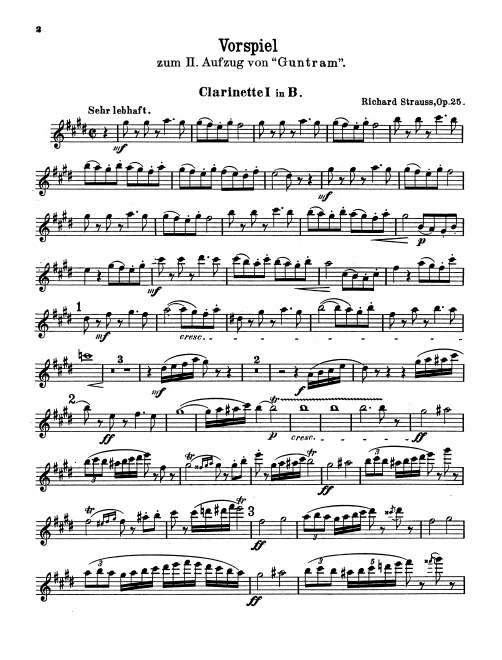 Clarinet 1, 2, 3/Bass Clarinet (B)
