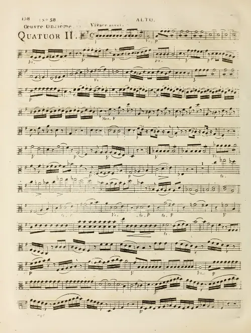 Viola