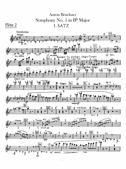 Flute 2