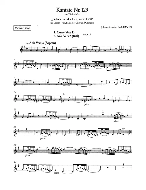 Violin Solo