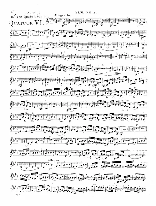 Violin 2